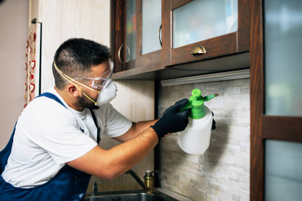 Pest Prevention Services in Gouldtown, NJ