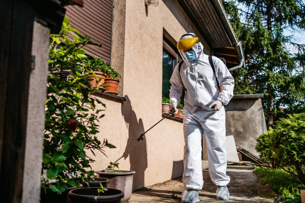 Best Pest Removal Services  in Gouldtown, NJ