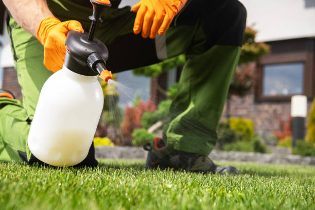Best Local Pest Control Services  in Gouldtown, NJ