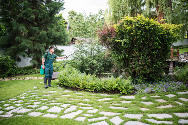 Best Insect Control  in Gouldtown, NJ