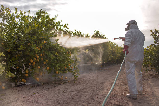 Best Cockroach Control Services  in Gouldtown, NJ