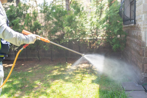 Best Insect Control  in Gouldtown, NJ