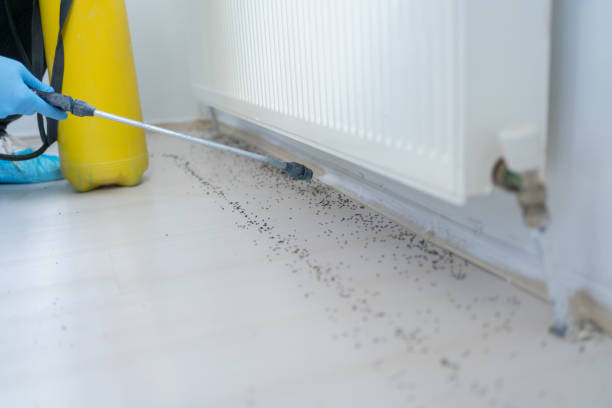Gouldtown, NJ Pest Control Company